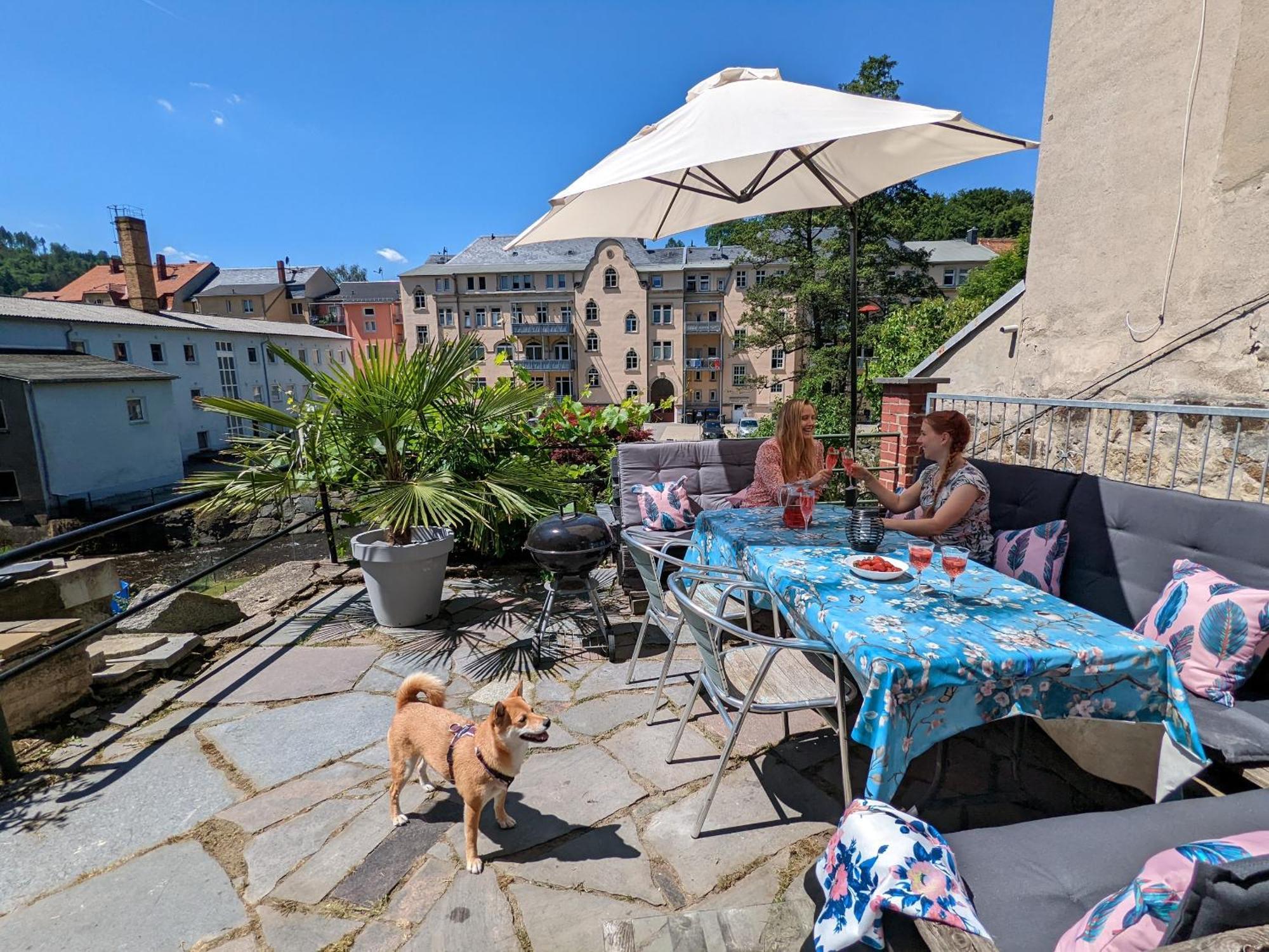 F1 - Urlaubsmagie - Helle Wohnung Mit Sauna & Pool & Whirlpool Sebnitz Exterior photo