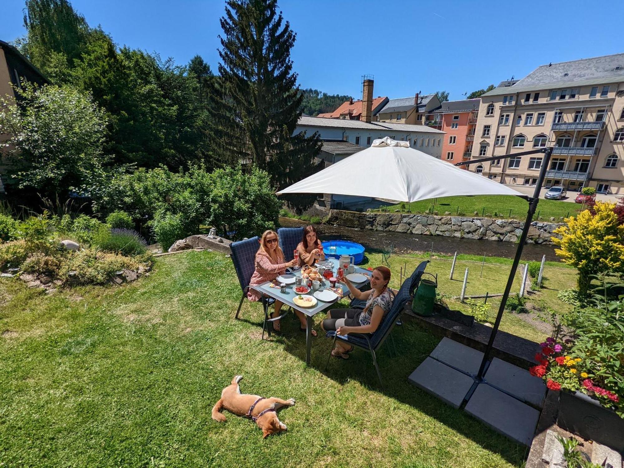 F1 - Urlaubsmagie - Helle Wohnung Mit Sauna & Pool & Whirlpool Sebnitz Exterior photo